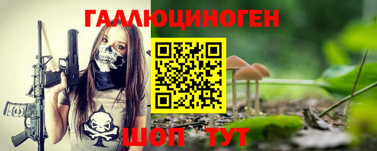 Галлюциногенные грибы Cubensis  Вход с VPN  Псилоцибиновые грибы прущие грибы  Кизляр 