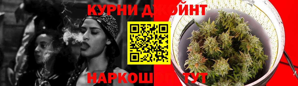Конопля марихуана Кизляр
